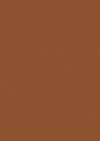 Лист "Fom Eva", 42х62 см, цвет: светло-коричневый, арт. ЕVA-051/1