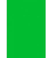 Лист "Fom Eva", 42х62 см, цвет: темно-зеленый, арт. ЕVA-042/1