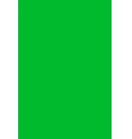 Лист "Fom Eva", 42х62 см, цвет: салатовый, арт. ЕVA-015/1