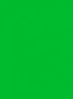 Лист "Fom Eva", 42х62 см, цвет: зеленый, арт. ЕVA-014/1