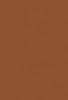 Лист "Fom Eva", 42х62 см, цвет: светло-коричневый, арт. EVA-051