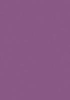 Лист "Fom Eva", 42х62 см, цвет: темно-фиолетовый, арт. EVA-025