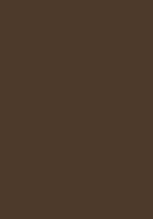 Лист "Fom Eva", 42х62 см, цвет: темно-коричневый, арт. EVA-022