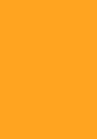 Лист "Fom Eva", 42х62 см, цвет: светло-оранжевый, арт. EVA-010