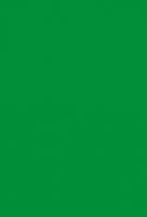 Лист "Fom Eva", 42х62 см, цвет: темно-зеленый, арт. EVA-042