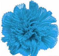 Бантик декоративный, 11 см, цвет: голубой, 10 штук, арт. С403
