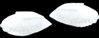 Плечевые накладки реглан обшитые Антинея, цвет: белый, 6x130x100 мм, 50 шт, арт. Р-6