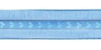 Лента капроновая с люрексом, 20 мм x 27 м, цвет: голубой/серебро, арт. 0072-0130