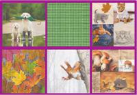 Набор бумажных салфеток для декупажа Love2art "Приближение осени", 33x33 см, арт. 0517-02