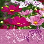 Салфетки бумажные для декупажа Colourful Life "Розовые космеи", 33x33 см, арт. CL-LN0689 (20 штук)