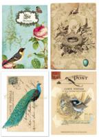 Пленка c изображениями для светлых поверхностей "Птицы на открытках", арт. 057