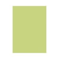Бумага для парчмента "Светло-зеленый", А4, 5 листов