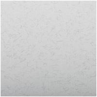 Бумага для пастели "Ingres", 500x650 мм, 25 листов, 130 г/м2, верже, хлопок, бледно-серый цвет