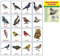 Демонстрационные картинки Супер. Зимующие птицы.16 раздаточных карточек с текстом