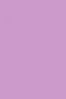Лист "Fom Eva", 42x62 см, цвет: светло-фиолетовый, арт. EVA-027/1