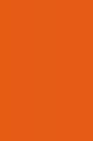 Лист "Fom Eva", 42x62 см, цвет: оранжевый, арт. EVA-008