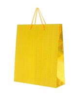 Пакет бумажный "Золотой глянец", 23х27х8 см