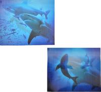Термоаппликации 3D (интерактивные) "Акулы", 11,8х10 см, 5 штук, арт. TBY.3D25 (количество товаров в комплекте: 5)