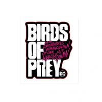 Наклейка-патч для одежды PrioritY "DC. Хищные Птицы – 2"