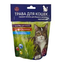 Трава для кошек