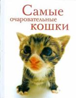Самые очаровательные кошки