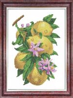 Канва с нанесенным рисунком Каролинка "Лимон", 23х30 см, арт. КК-063