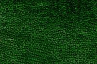 Бисер круглый, 10/0, 2,3 мм, 50 г, цвет: 50120 темно-зелёный, арт. 311-29001