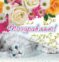 Мини-открытка "Поздравляю!" (кот)