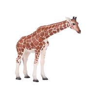Фигурка Mojo "Жираф (самка)" (XL)