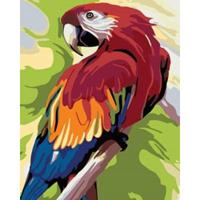 Картина по номерам "Попугай", 40x50 см