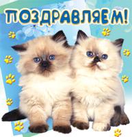 Мини-открытка "Поздравляем!" (котята)