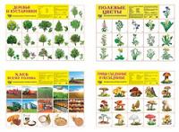 Комплект плакатов А2 "Растительный мир леса и полей" (в пакете) (количество товаров в комплекте: 4)