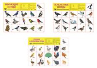 Комплект плакатов А2 "Мир птиц" (в пакете) (количество товаров в комплекте: 3)