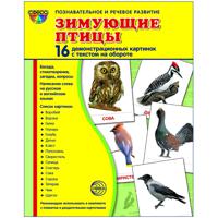 Демонстрационные картинки. Супер. Зимующие птицы. 16 демонстрационных картинок с текстом