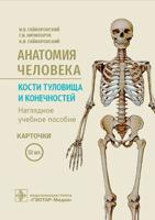 Анатомия человека. Кости туловища и конечностей. 32 карточки