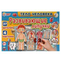 Развивающая игра с липучками "Тело человека"