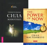 Книга Сила Настоящего Экхарт Купить