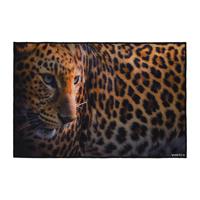 Коврик влаговпитывающий "Velur. Леопард", 60х90 см
