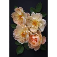 Алмазная мозаика "Английская роза" (35 цветов), 40x50 см