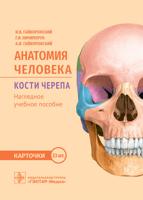 Анатомия человека. Кости черепа (23 карточки)