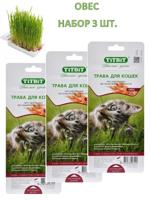 Трава для кошек 40 грамм (овес) - комплект 3 упаковки / TiTBiT