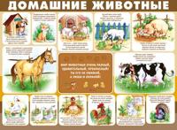Плакат А2 "Домашние животные"