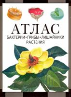 Бактерии, грибы, лишайники, растения: атлас