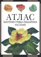 Атлас. Бактерии, грибы, лишайники, растения