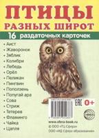 Птицы различных широт. Раздаточные карточки (16 штук)