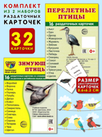 Зимующие птицы + Перелетные птицы. Комплект из 2 наборов раздаточных карточек