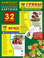 Грибы + Ягоды. Комплект из 2 наборов раздаточных карточек