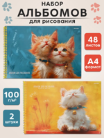 Альбом для рисования А4 на спирали, 48 л 2 шт