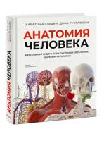 Анатомия человека. Визуальный гид по всем системам организма: норма и патологии