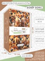 Подарочный набор MilotaBox mini "Бобёр Бокс"